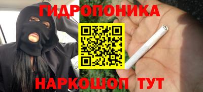 эйфоретик Лесосибирск