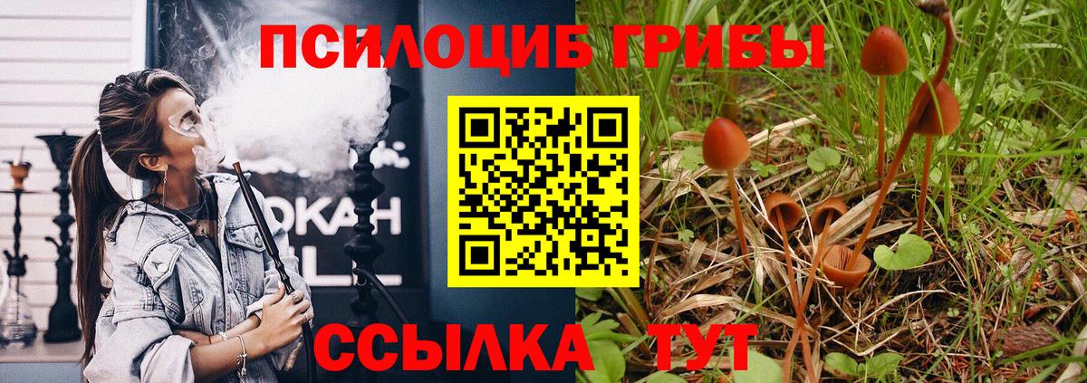 Псилоцибиновые грибы GOLDEN TEACHER  Псилоцибиновые грибы Psilocybe  Вход с VPN  Будённовск 